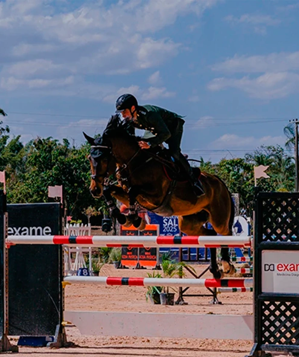 Hípica A Nobre Arte da Equitação